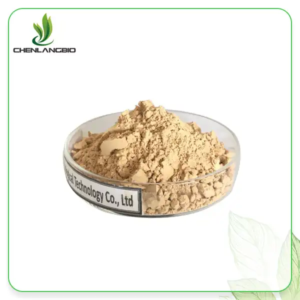 Camellia Oleifera Seed Extract Powder